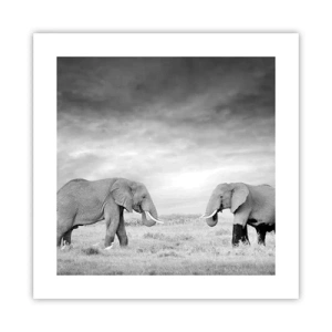 Pôster - O cinza é belo - 40x40 cm