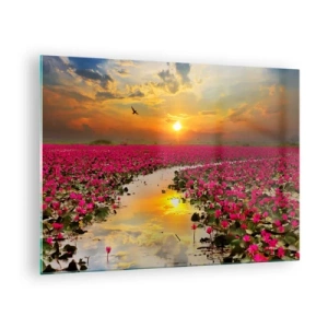Quadro em vidro - Nenúfares cor-de-rosa em um lago ao pôr do sol - 70x50cm - A vida secreta do lago - Decoração de parede moderna para a sala de estar e quarto ARTTOR