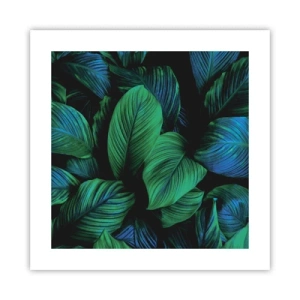 Pôster - Na multidão verde - 40x40 cm