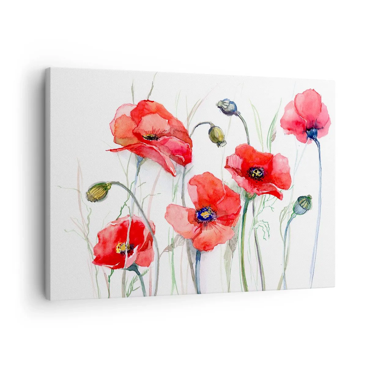 Quadro em tela - Papoulas em aquarela sobre um fundo delicado - 70x50cm - Flores polacas - Decoração de parede moderna para a sala de estar e quarto ARTTOR