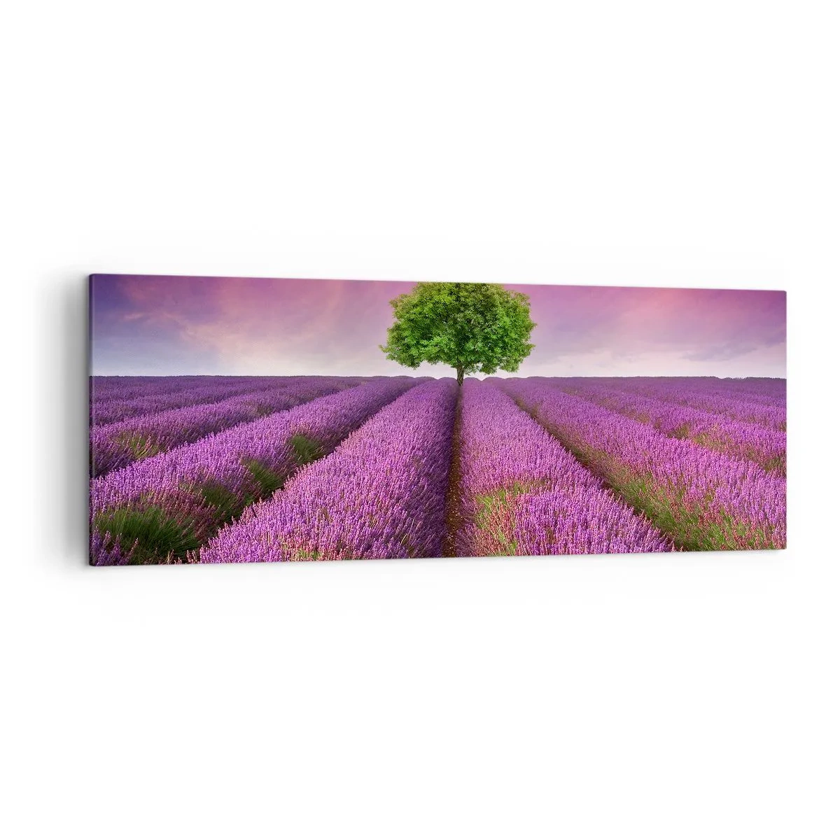 Quadro em tela - Nos campos de lavanda - 140x50 cm