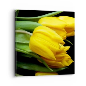 Quadro em tela - Feitas a partir do sol - 40x40 cm