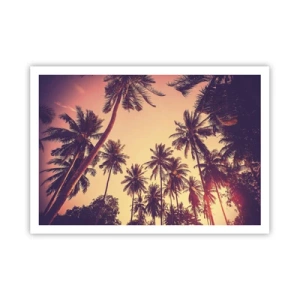Pôster - Variação tropical - 100x70 cm