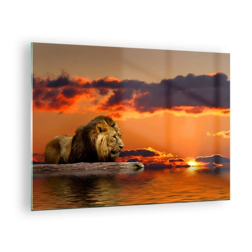 Quadro em vidro - Um leão tendo como pano de fundo o pôr do sol - 70x50cm - Rei da natureza - Decoração de parede moderna para a sala de estar e quarto ARTTOR
