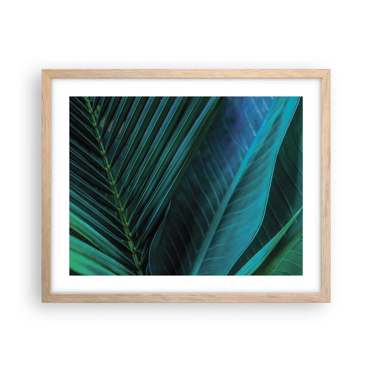 Pôster com moldura de carvalho claro - Anatomia da vegetação - 50x40 cm