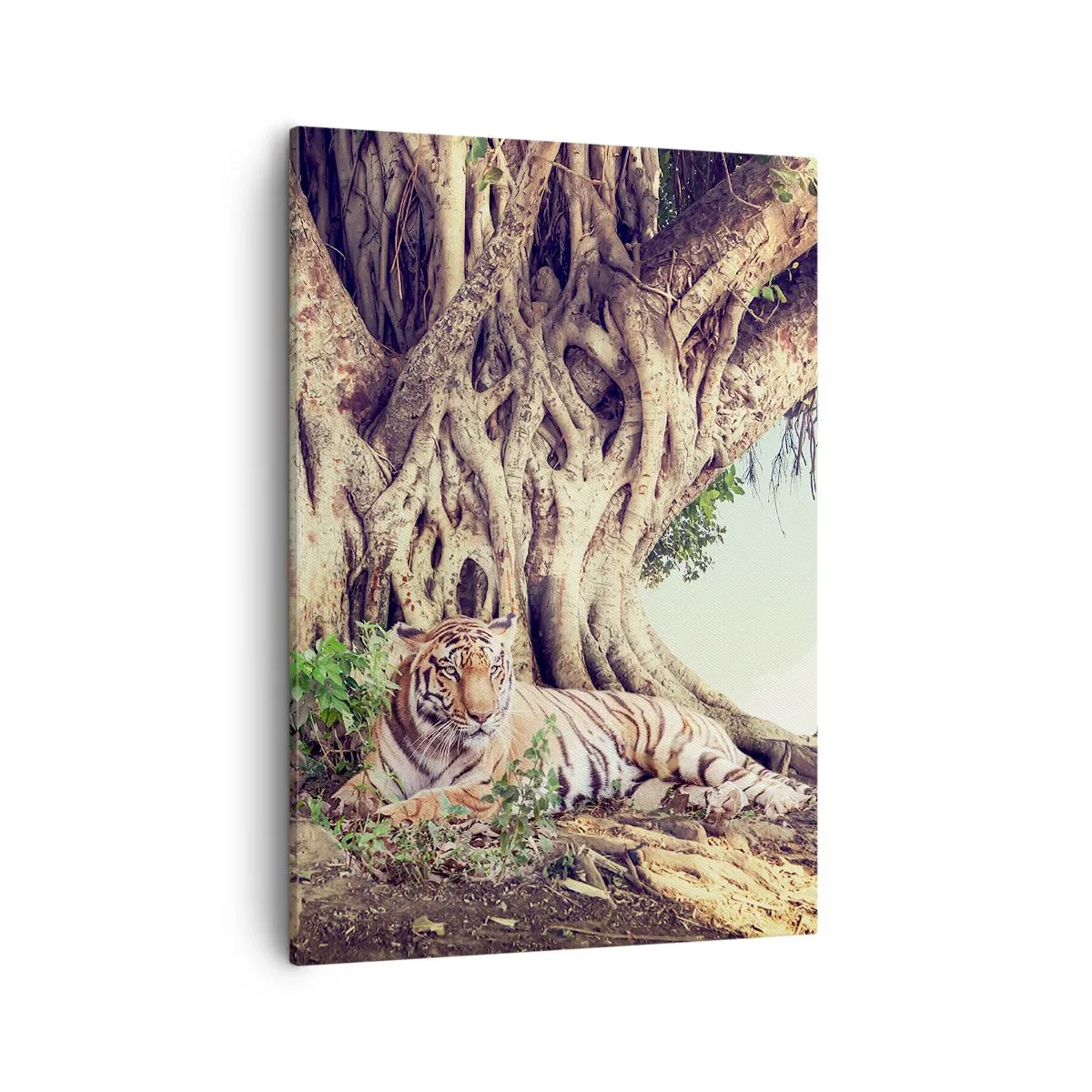 Quadro em tela - Vista do livro de Gênesis - 50x70 cm