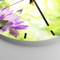 Mostrador com traços