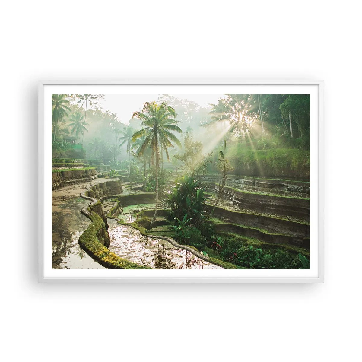 Pôster em moldura branca - Crescer ao sol - 100x70 cm