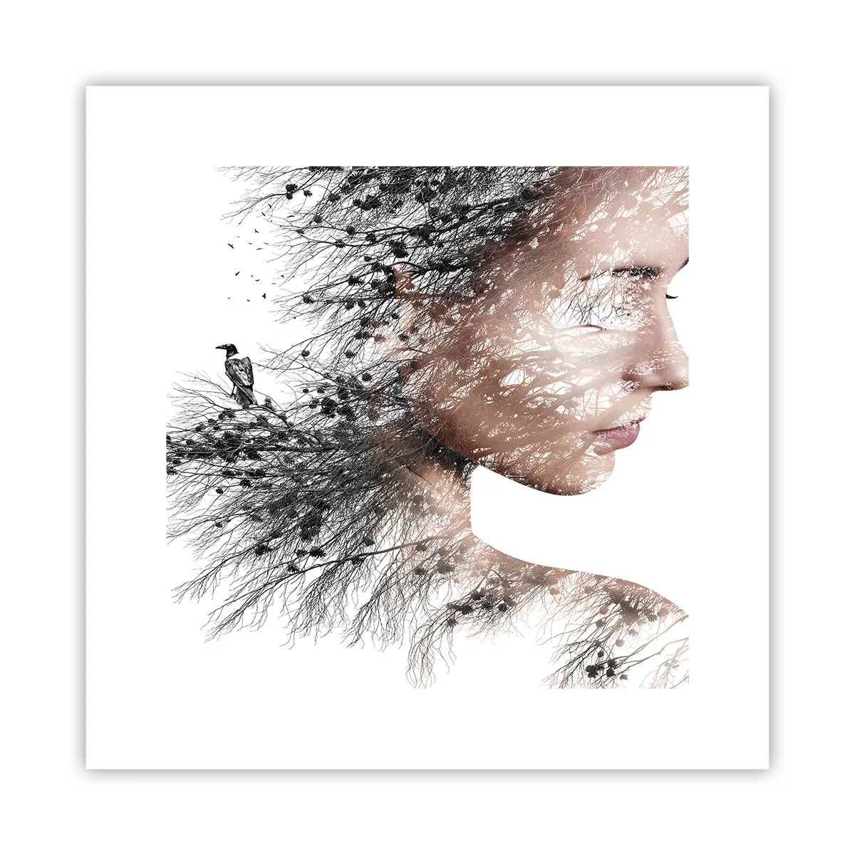 Pôster - Espírito da floresta - 30x30 cm