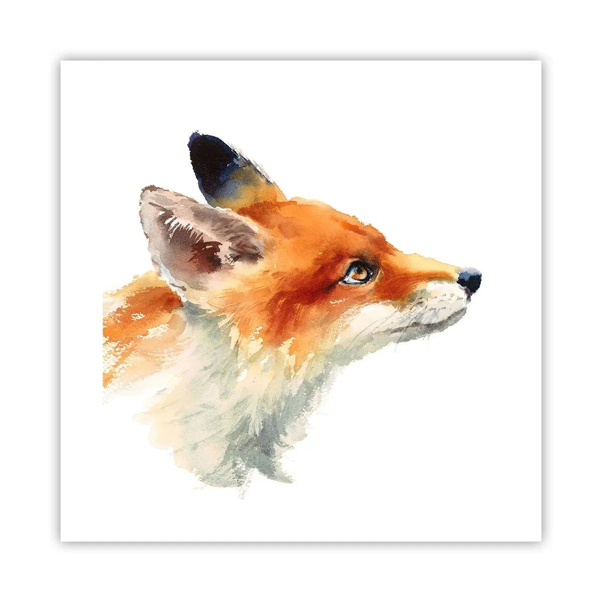 Pôster - Nunca é demais ter cuidado - 40x40 cm