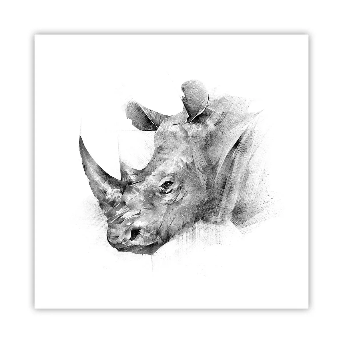 Pôster - Retrato africano - 40x40 cm