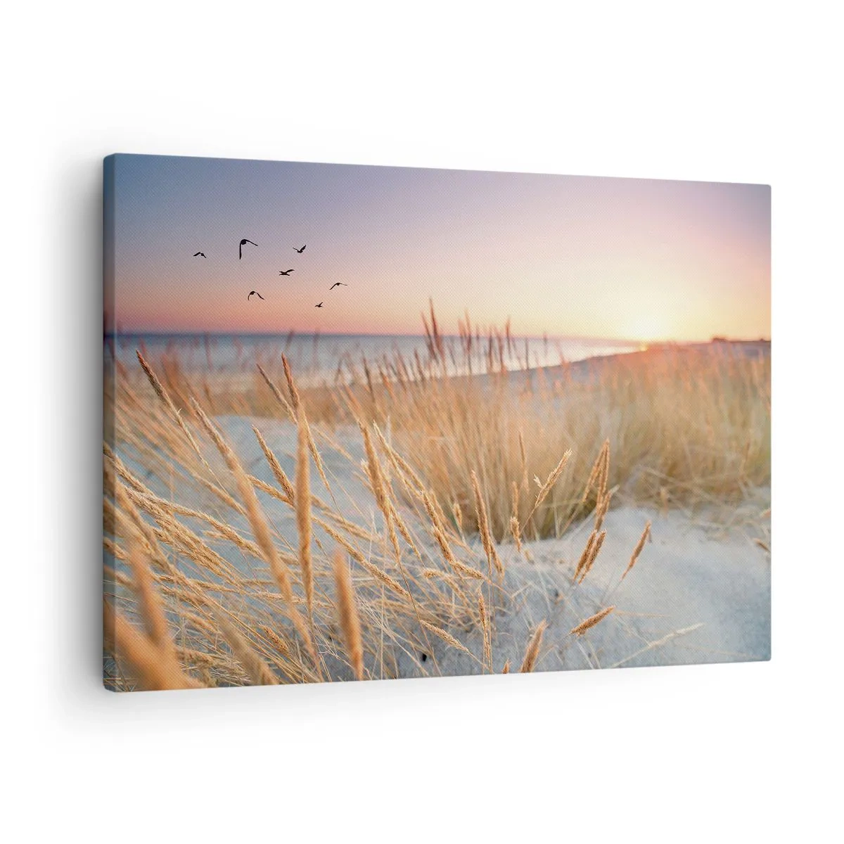 Quadro em tela - Praia do pôr do sol com grama alta - 70x50cm - Uma canção de embalar do Báltico - Decoração de parede moderna para a sala de estar e quarto ARTTOR