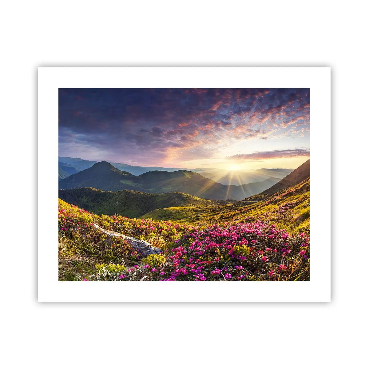 Pôster - A frescura de uma manhã nas montanhas - 50x40 cm