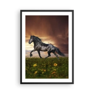 Pôster com moldura preta - Um cavalo preto galopa por um prado à luz do pôr do sol. - 50x70cm - O Príncipe Negro - Decoração de parede moderna para a sala de estar e quarto ARTTOR