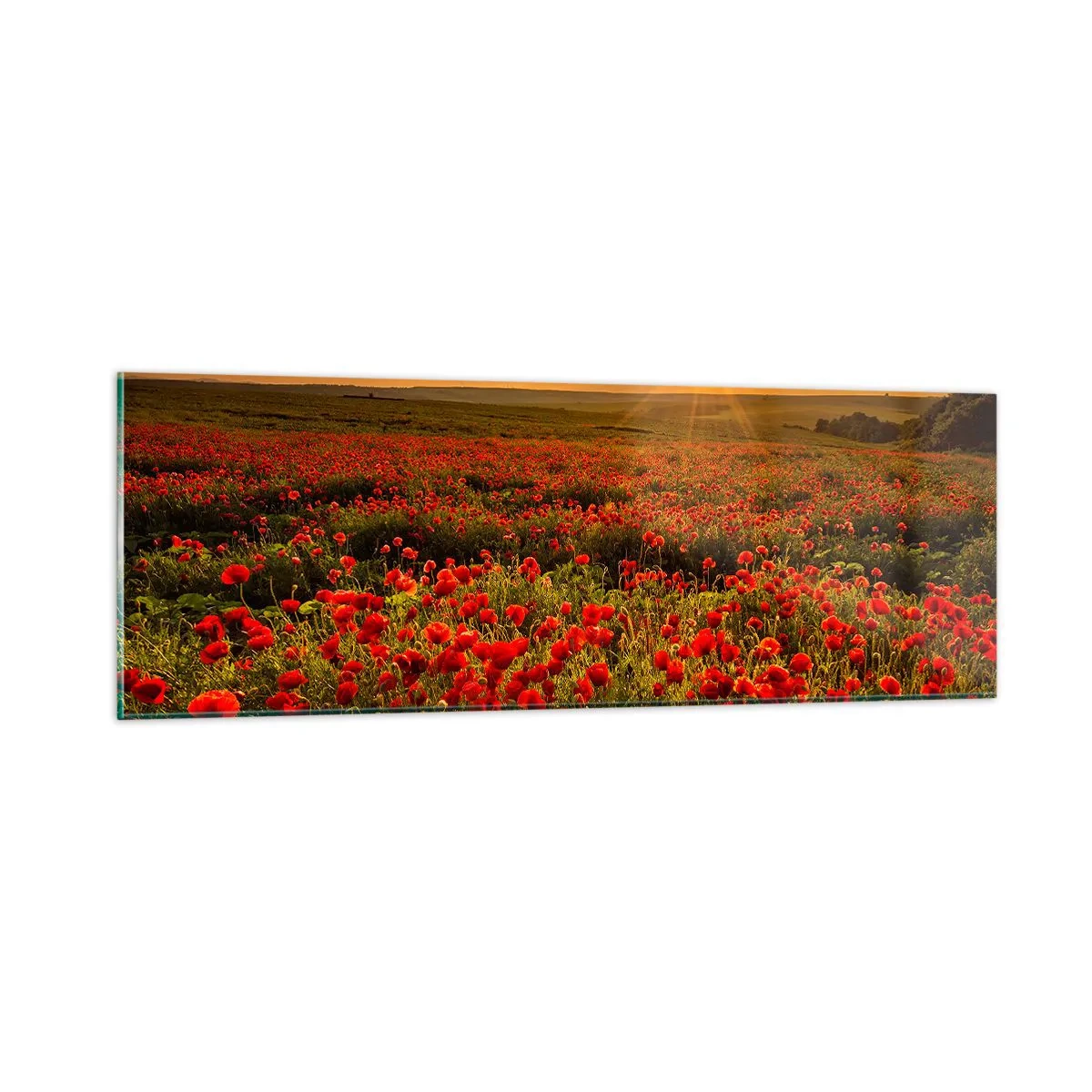 Quadro em vidro - Entre o farfalhar da onda de prados, entre o dilúvio das flores - 90x30 cm