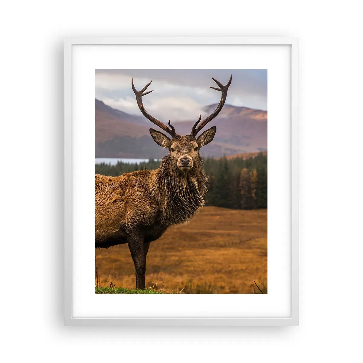 Pôster em moldura branca - A majestade da natureza - 40x50 cm