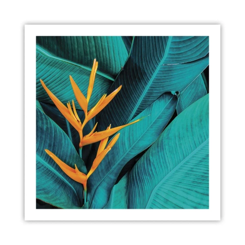 Pôster - Flor do Éden - 60x60 cm