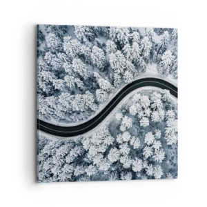 Quadro em tela - Pelaa floresta no inverno - 70x70 cm