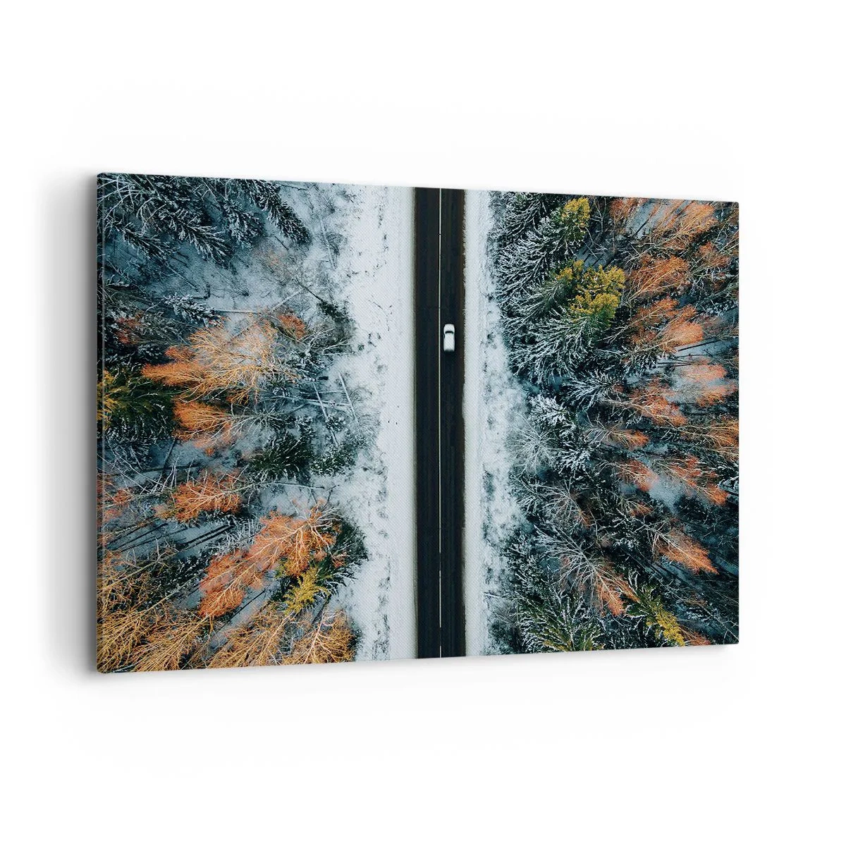 Quadro em tela - Cortar a floresta no inverno - 120x80 cm