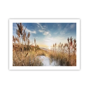 Pôster - Praia do Norte - 70x50 cm