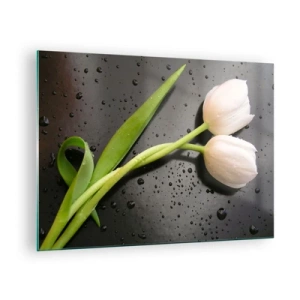Quadro em vidro - Tulipas brancas em um fundo com gotas de água - 70x50cm - Trançado  de primavera - Decoração de parede moderna para a sala de estar e quarto ARTTOR