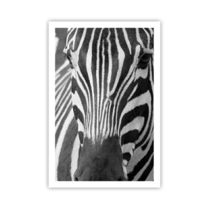 Pôster - O mundo é preto e branco - 61x91 cm