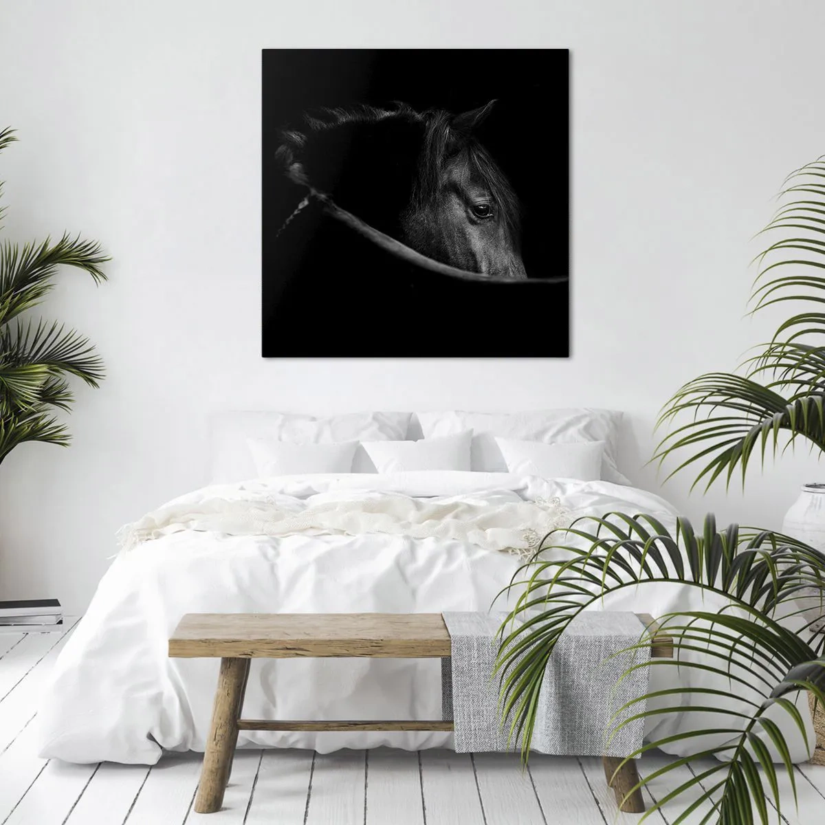 Quadro em tela - Príncipe Negro - 30x30 cm