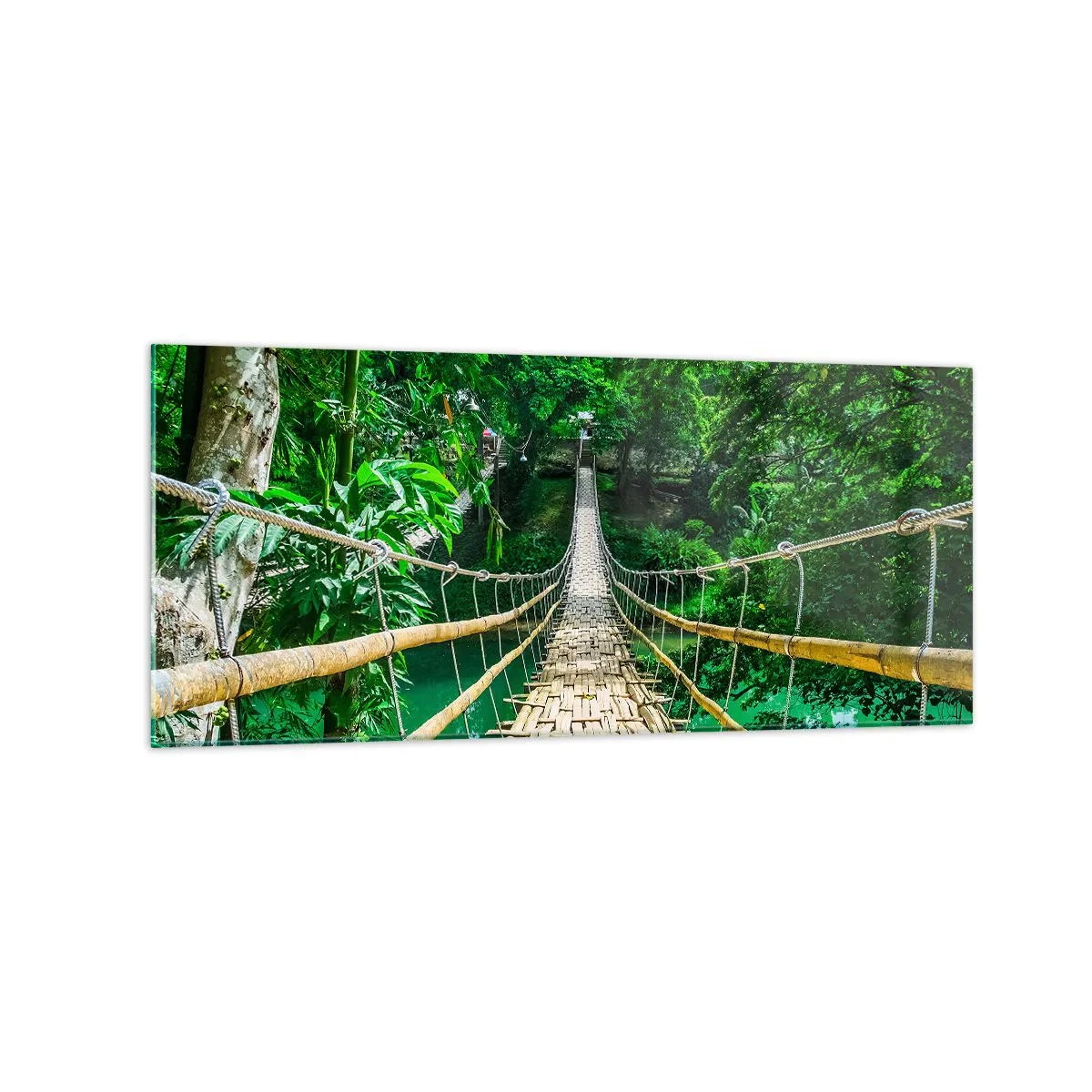 Quadro em vidro - Ponte de macacos sobre a vegetação - 120x50 cm