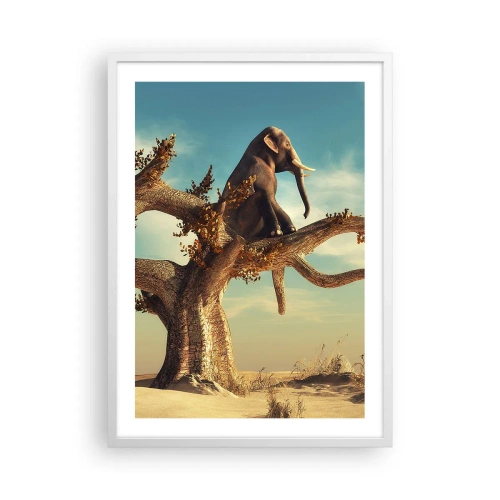 Pôster em moldura branca - Um novo ponto de vista - 50x70 cm