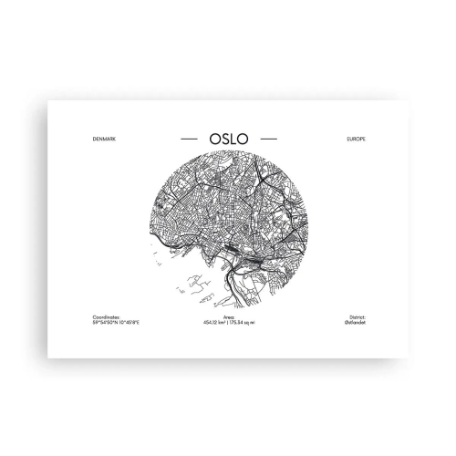Pôster - Anatomia de Oslo - 70x50 cm