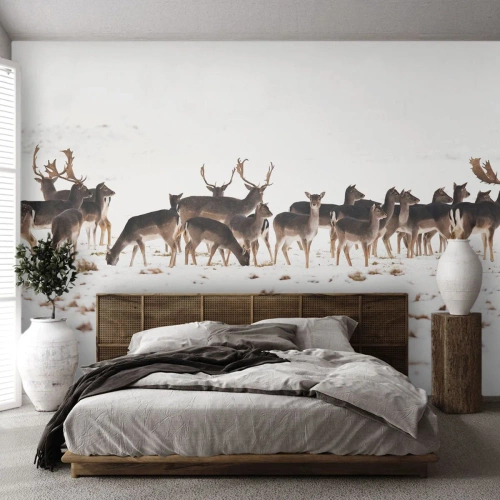Papel de Parede Premium Canvas - O Natal se aproxima? - Animais, Cervo, Natureza - 500x350 cm