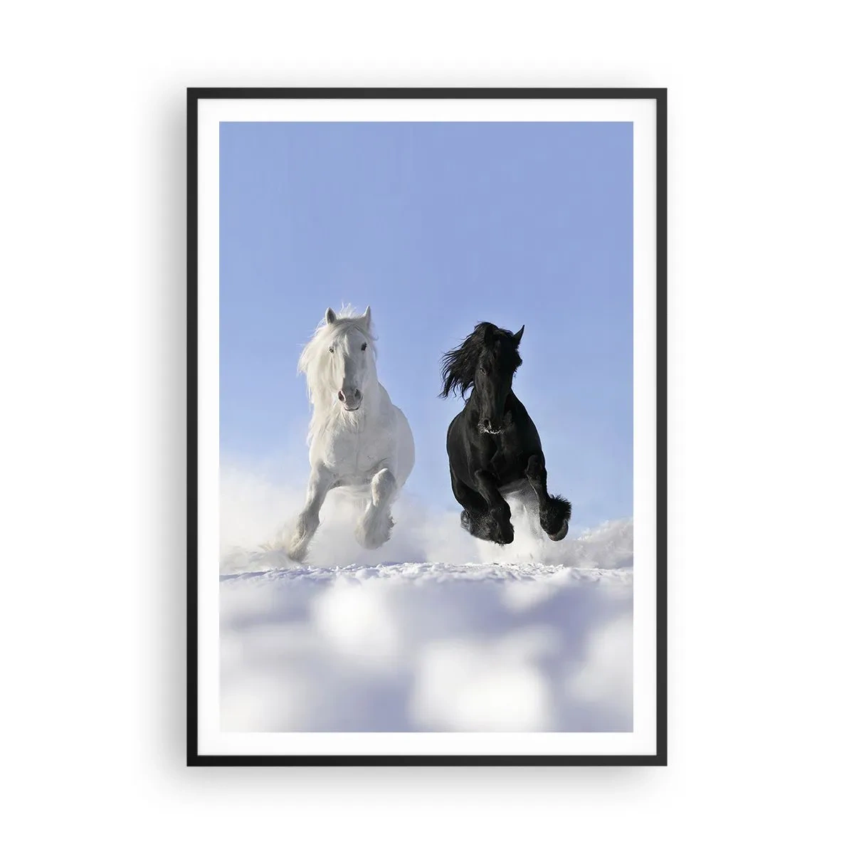 Pôster com moldura preta - Galope preto e branco - 70x100 cm