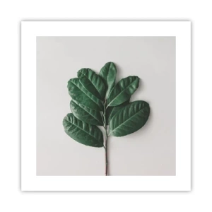 Pôster - Desenho da própria natureza - 40x40 cm