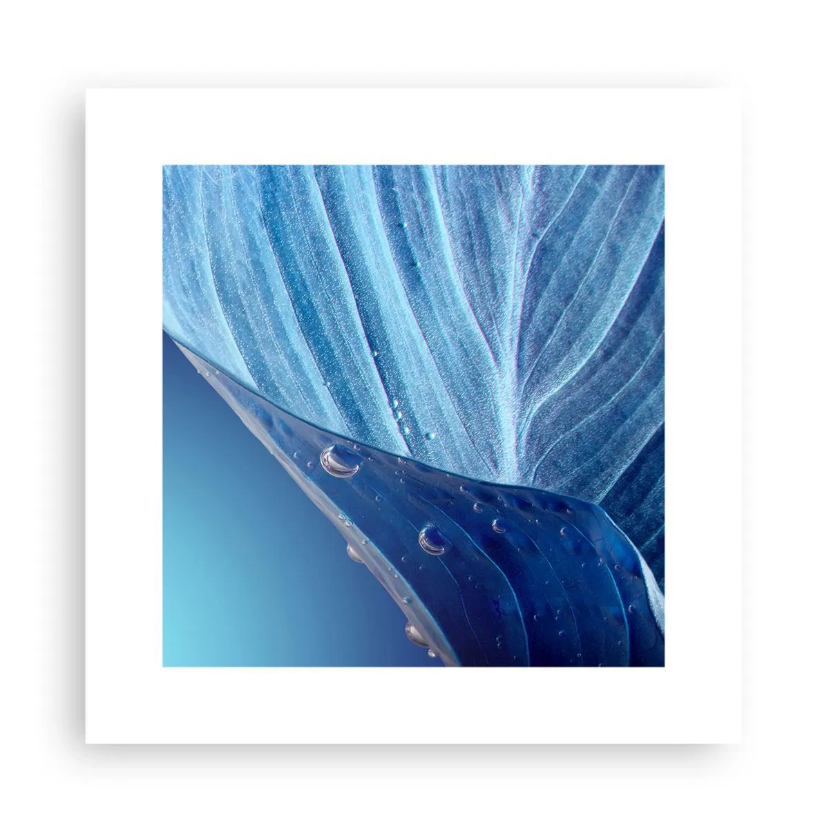 Pôster - Gotas escondidas no azul - 30x30 cm