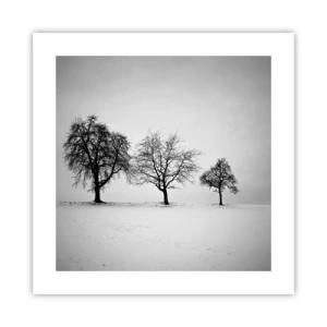 Pôster - Com que sonham elas? - 40x40 cm