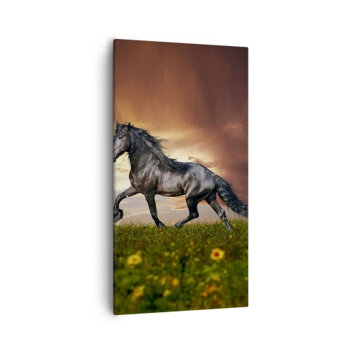 Quadro em tela - O Príncipe Negro - 55x100 cm