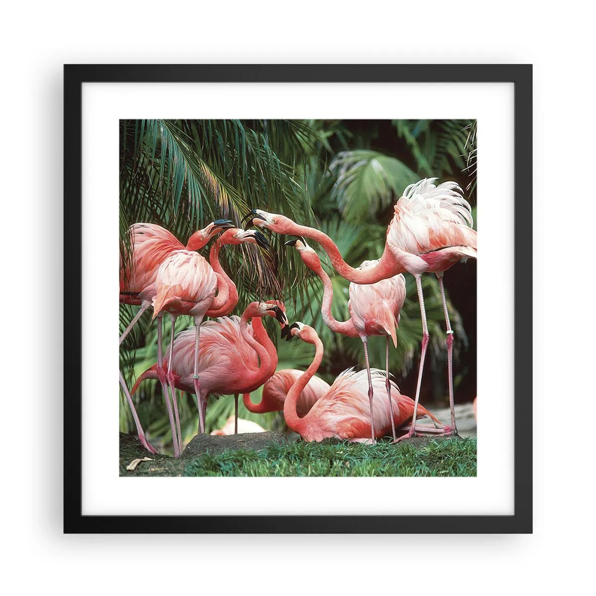 Pôster com moldura preta - Fofocas da tarde - 40x40 cm