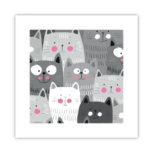 Pôster - O mundo dos gatos - 30x30 cm