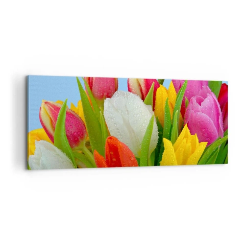 Quadro em tela - Arco-íris floral em gotas de orvalho - 100x40 cm