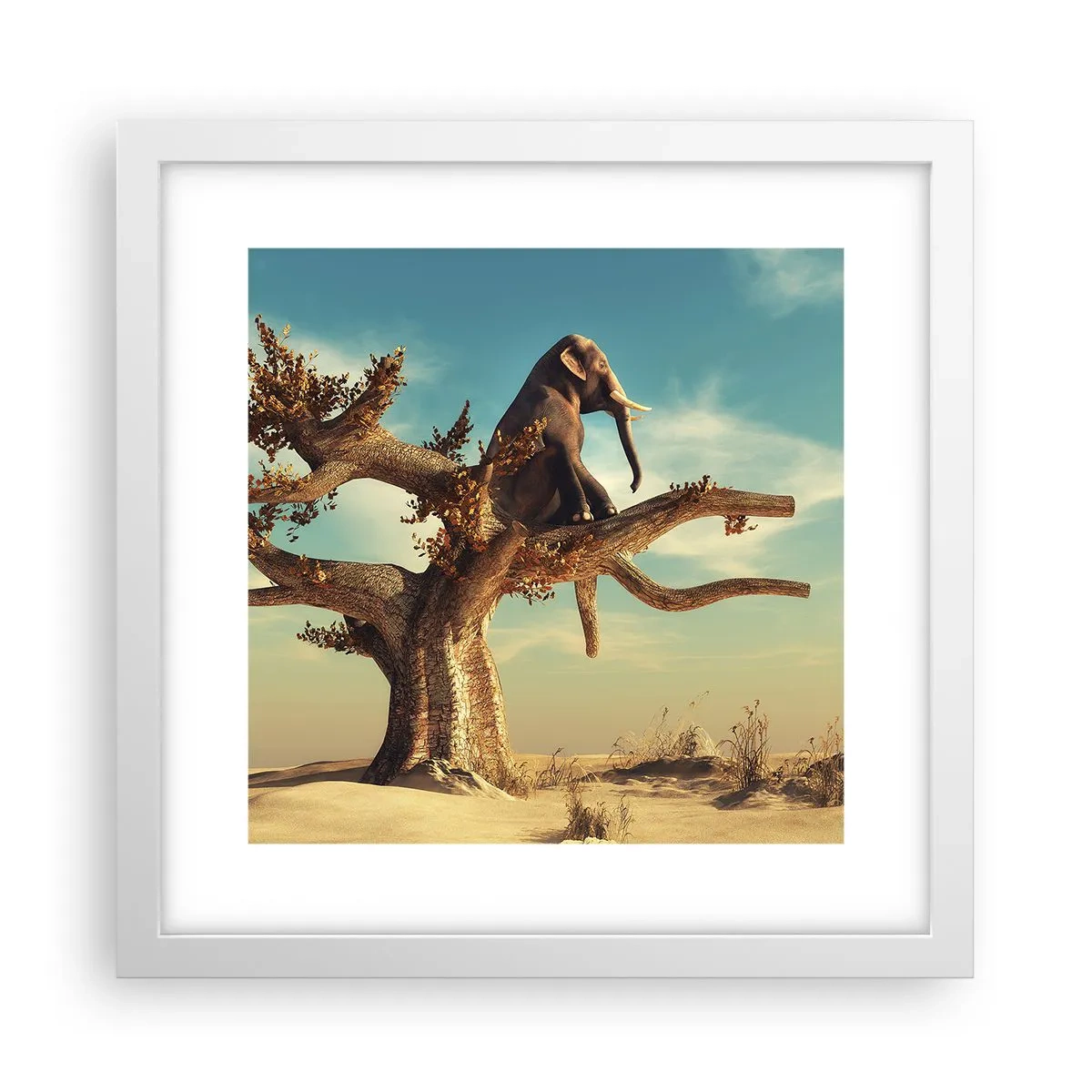 Pôster em moldura branca - Um novo ponto de vista - 30x30 cm