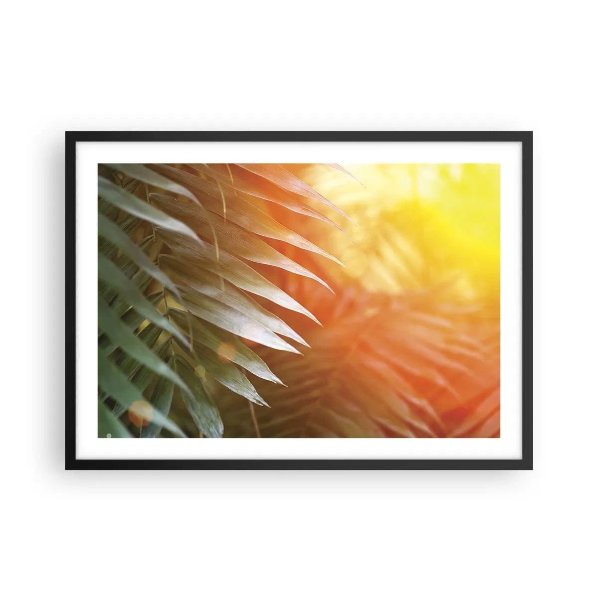 Pôster com moldura preta - Manhã na selva - 70x50 cm