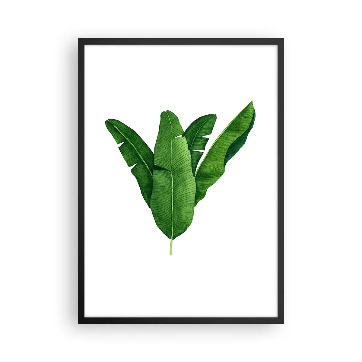 Pôster com moldura preta - Ilustração em aquarela de folhas de bananeira dispostas simetricamente sobre um fundo branco. - 50x70cm - Simetria verde - Decoração de parede moderna para a sala de estar e quarto ARTTOR