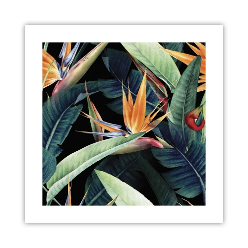 Pôster - Flores ardentes dos trópicos - 40x40 cm