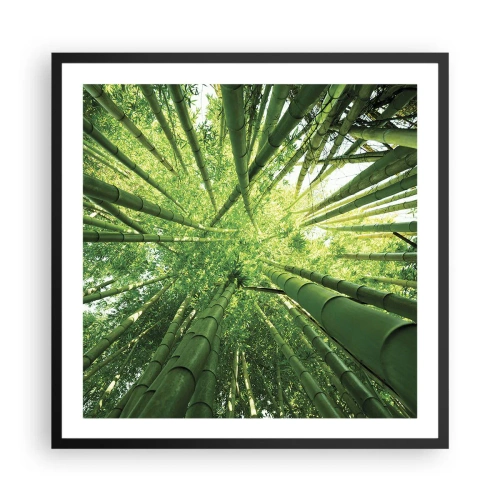 Pôster com moldura preta - Em um bosque de bambu - 60x60 cm