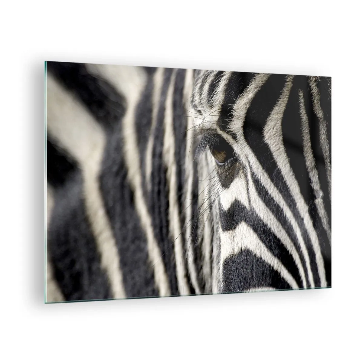 Quadro em vidro - Close-up do olho de uma zebra e listras pretas e brancas - 70x50cm - Retrato em listras - Decoração de parede moderna para a sala de estar e quarto ARTTOR