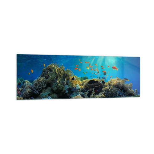 Quadro em vidro - Tesouros subaquáticos - 160x50 cm