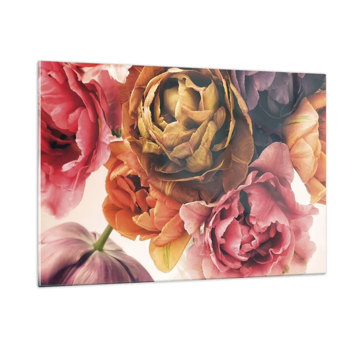 Quadro em vidro - Celebração da vida - 120x80 cm