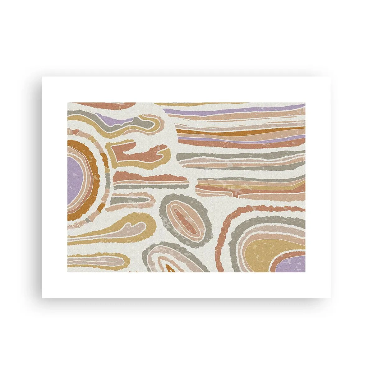 Pôster - Secções transversais coloridas - 40x30 cm