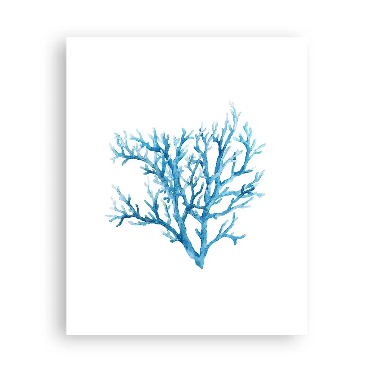 Pôster - Filigrana náutica - 40x50 cm