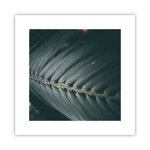 Pôster - A precisão da natureza - 30x30 cm